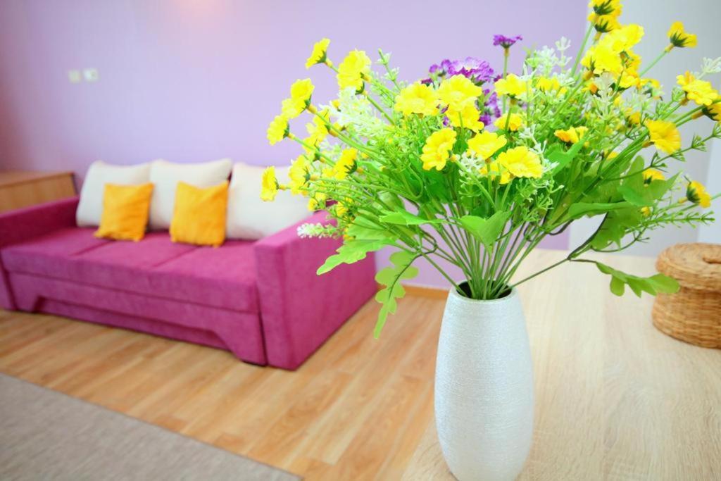 Flowers Apartments Timisoara Exterior foto
